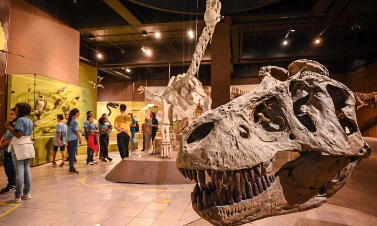 Museu da PUC | Ciências Naturais